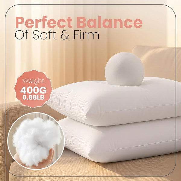 Cozy Cushion Pillow Pair