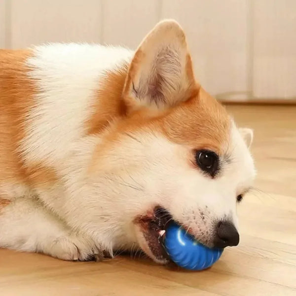 Dog-Toy-Ball-Automatic-Moving-Bouncing-Rolling-Ball-USB-Smart-puppy-Interactive-Dog-Chew-Toy-Ball.jpg