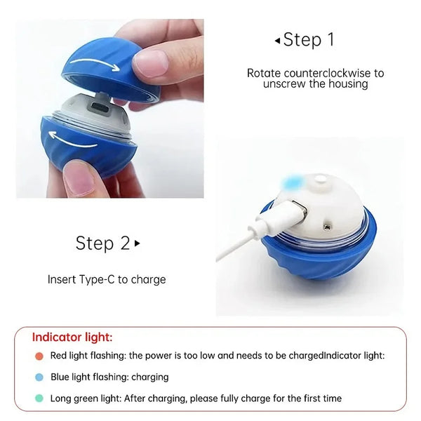 Smart Bouncing Dog Toy Ball